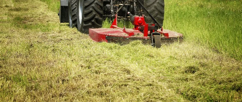Brush hogging for overgrown vegetation in Groton, CT.