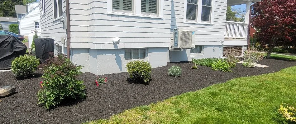 Landscape in Norwich, CT, with plants and mulch.
