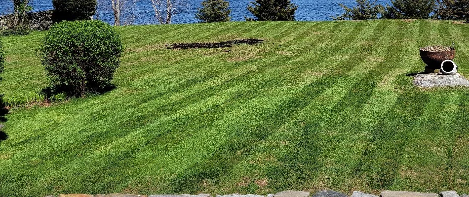 Newly mowed grass in Groton, CT.