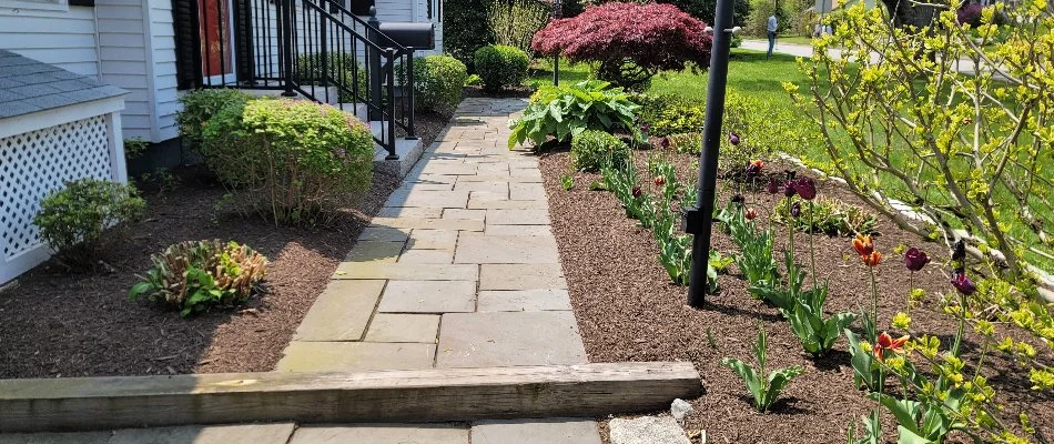 Walkway in Groton, CT, lined with landscape beds filled with plants.