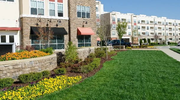 Close-up of lawn and construction site next to road in Groton, CT.