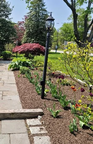 Crew member performing lawn maintenance services to blow debris from sidewalks..