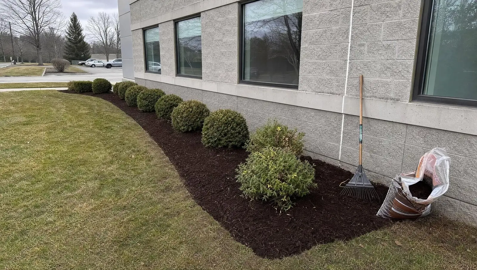 Freshly mulched and edged shrub beds along a Connecticut commercial building foundation.