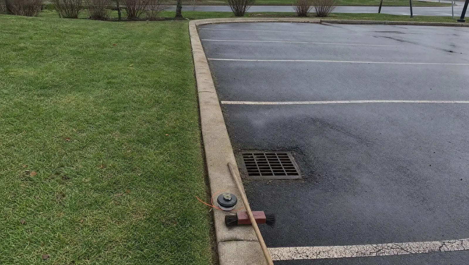 Clean mechanical edge between asphalt and turf along a commercial parking lot curb.