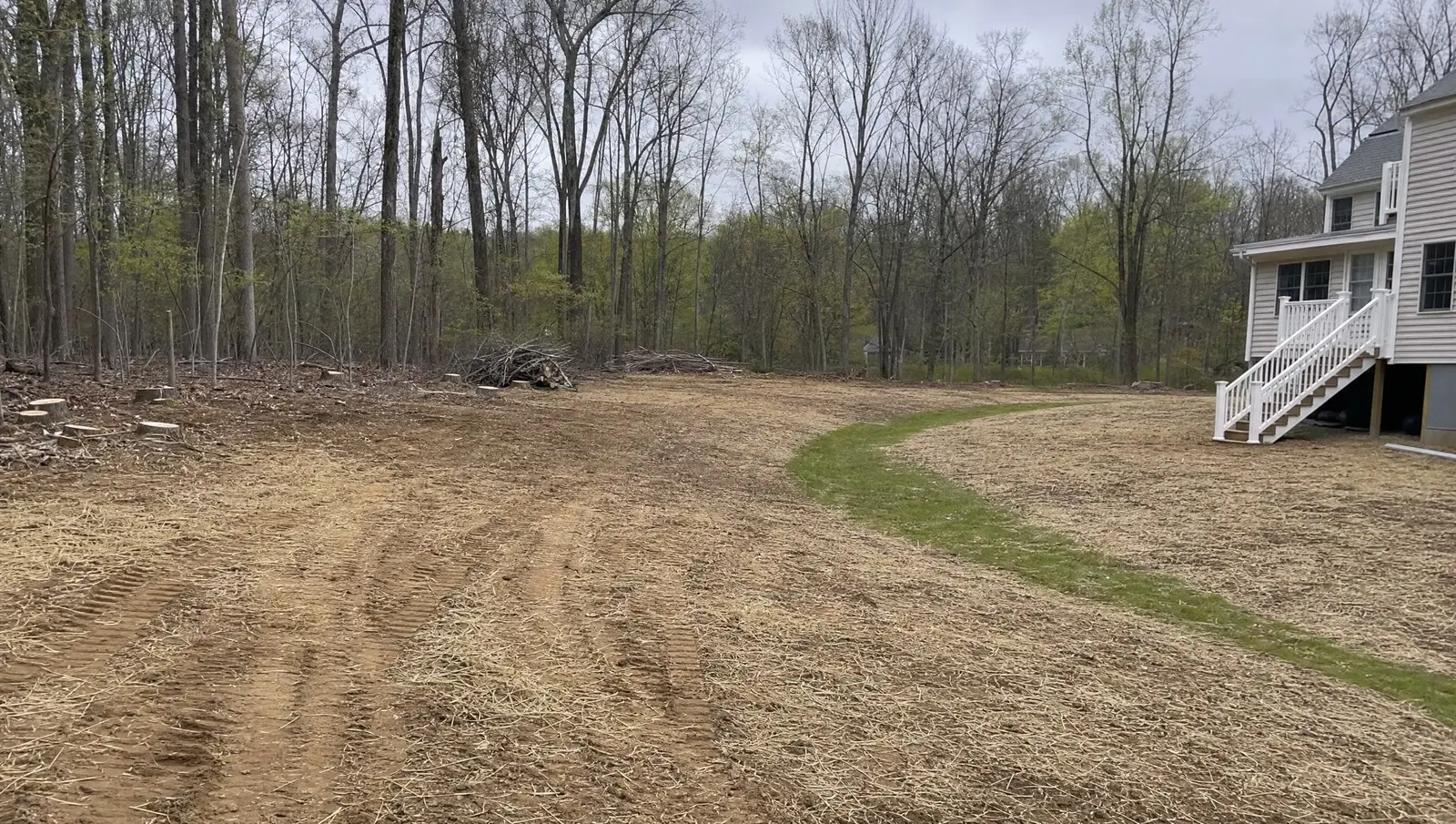 Cleared and regraded Connecticut backyard with a new swale, straw and seed.