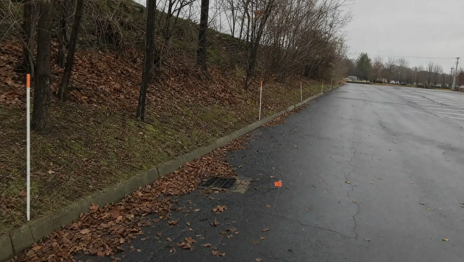 Reflective marker stakes set along a commercial curb line before the snow season.
