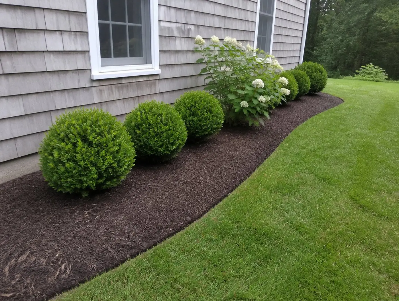 Bush and bed service in Ledyard CT