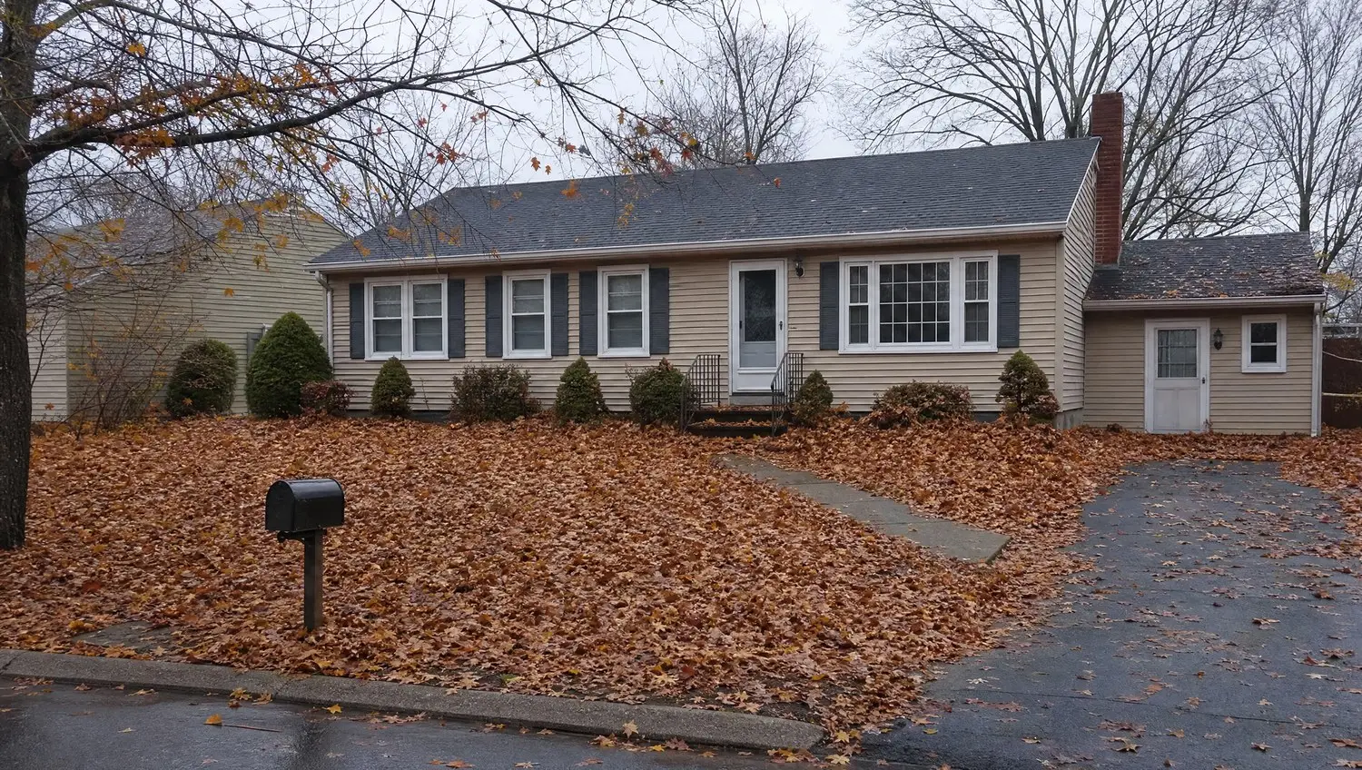 Spring and fall cleanups in Ledyard CT