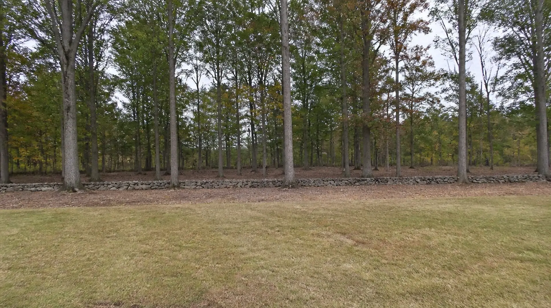 Land and brush clearing near Ledyard CT