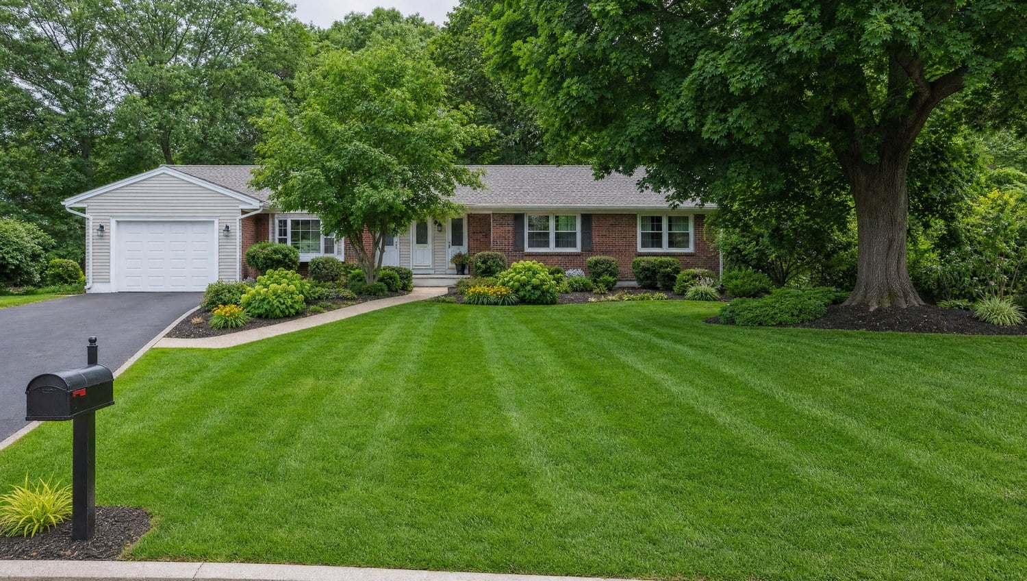 Well kept lawn on the Essential Care Plan in midsummer