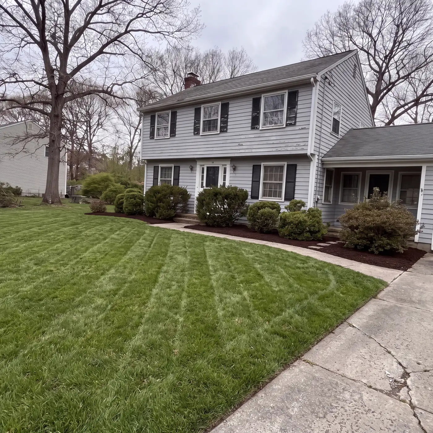 Freshly mown striped lawn with fresh dark mulch beds and pruned shrubs after AGSM service