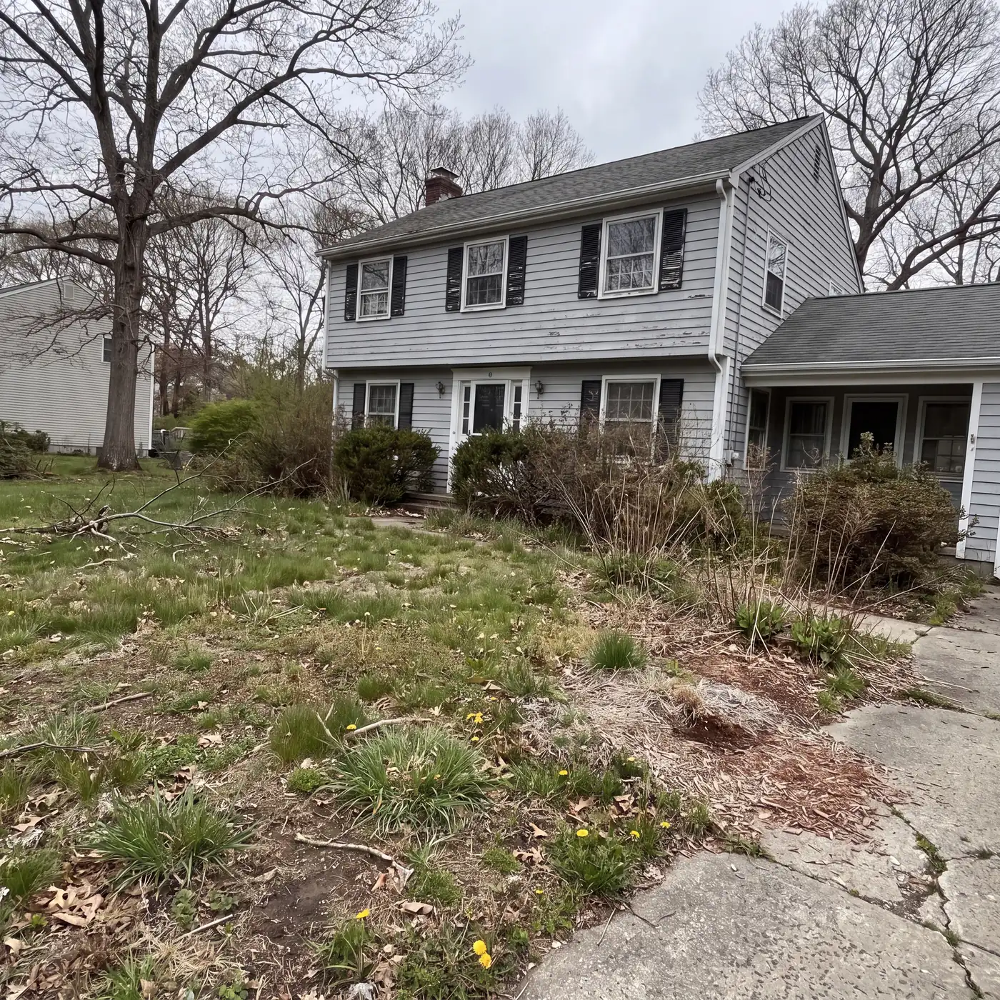 Overgrown weedy front lawn with bare patches and unpruned shrubs before AGSM service