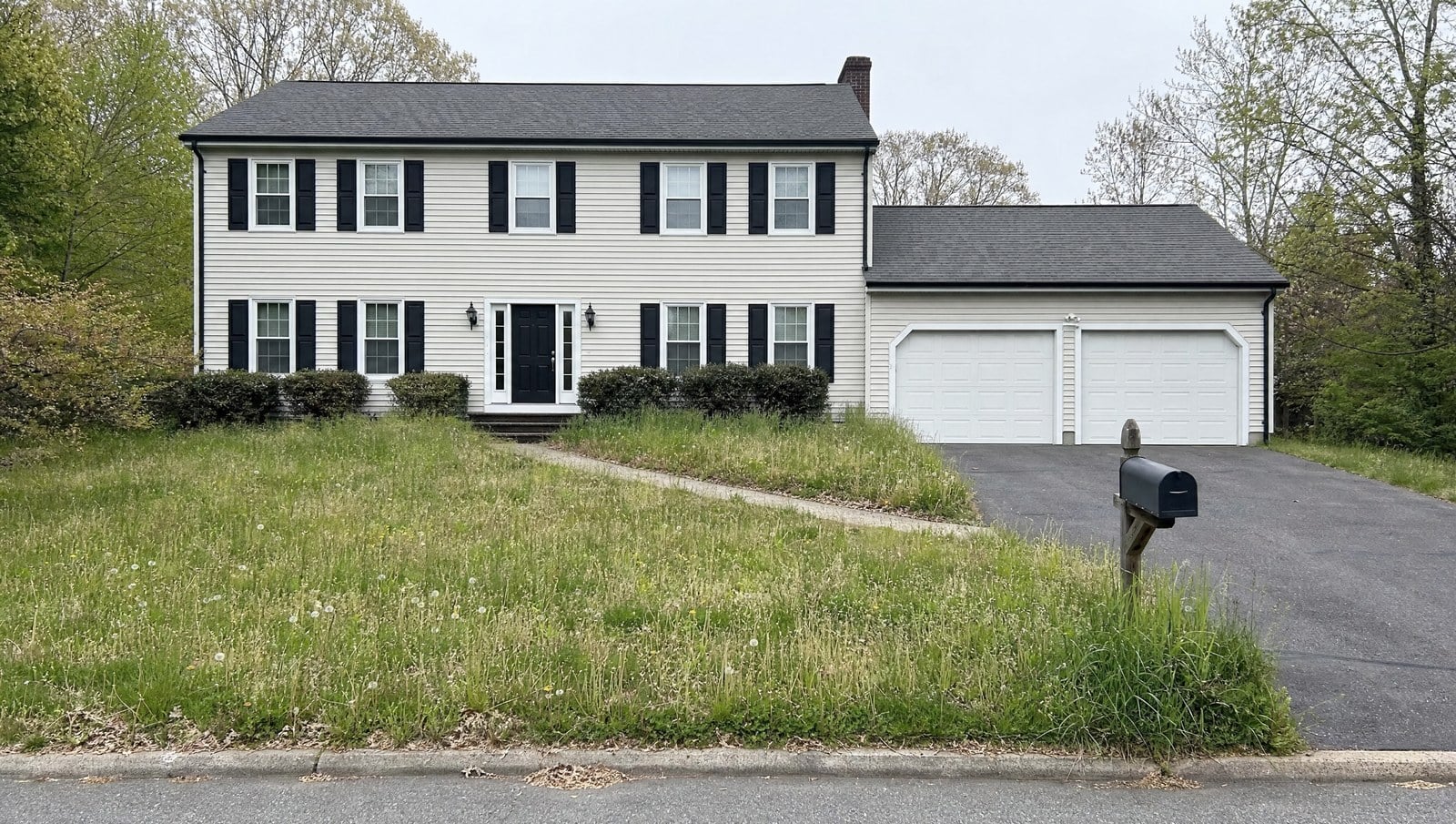 Overgrown weedy front lawn before weekly lawn mowing in Mystic CT