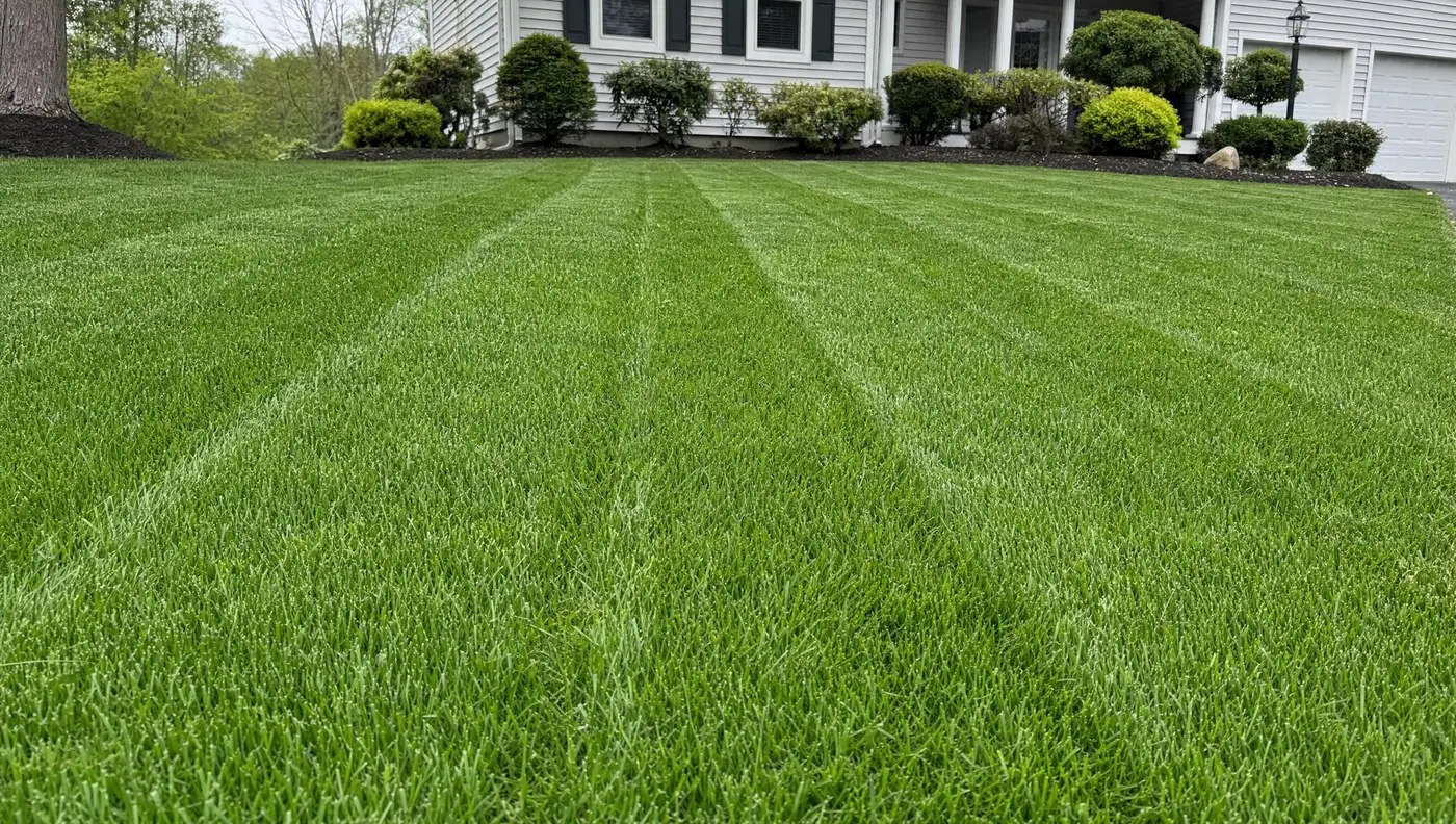 East Lyme & Niantic, CT property under year-round care by American Ground & Snow