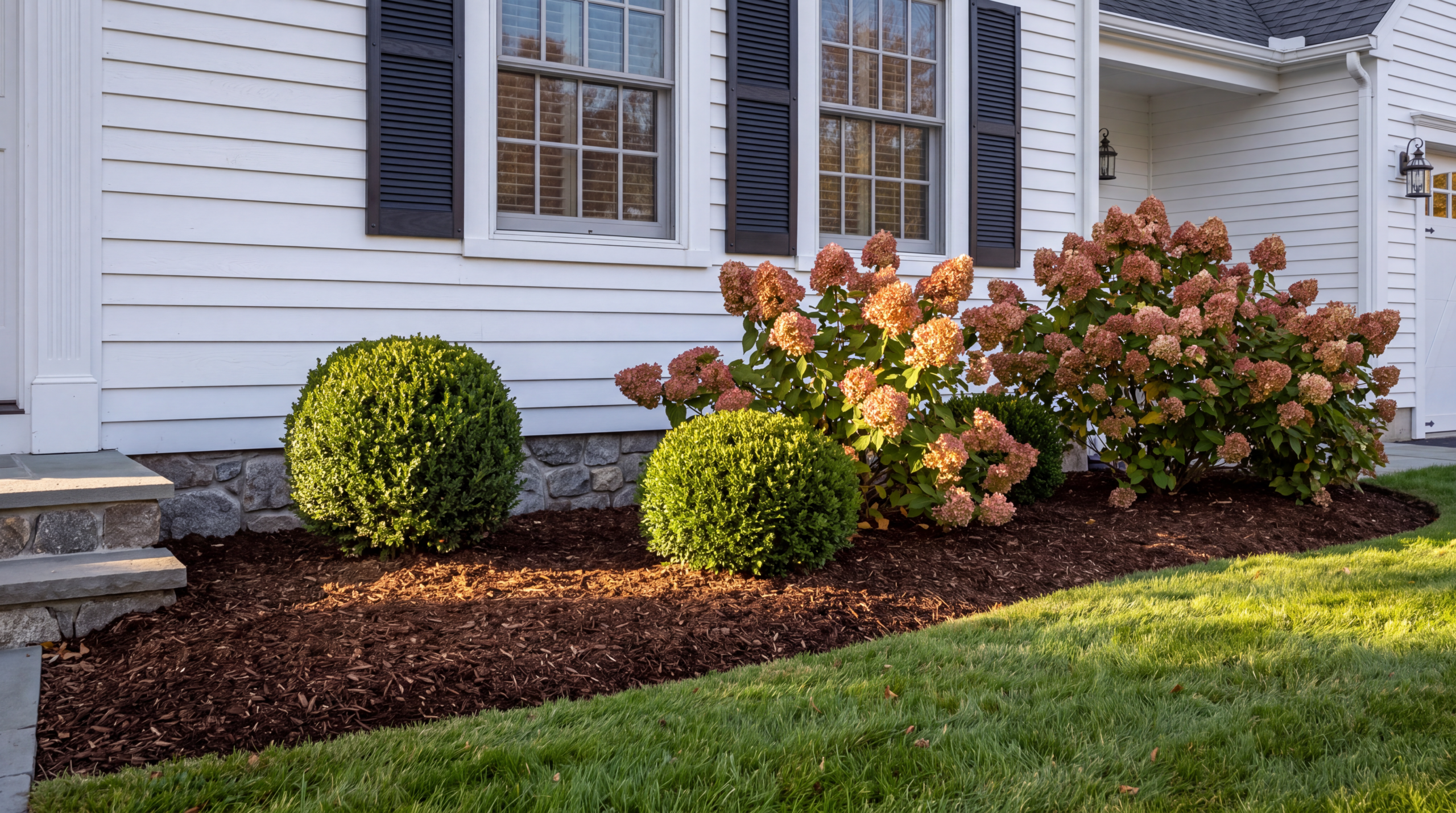 Foundation bed cleared of leaves with boxwoods, mulch, and a crisp edge after professional fall cleanup