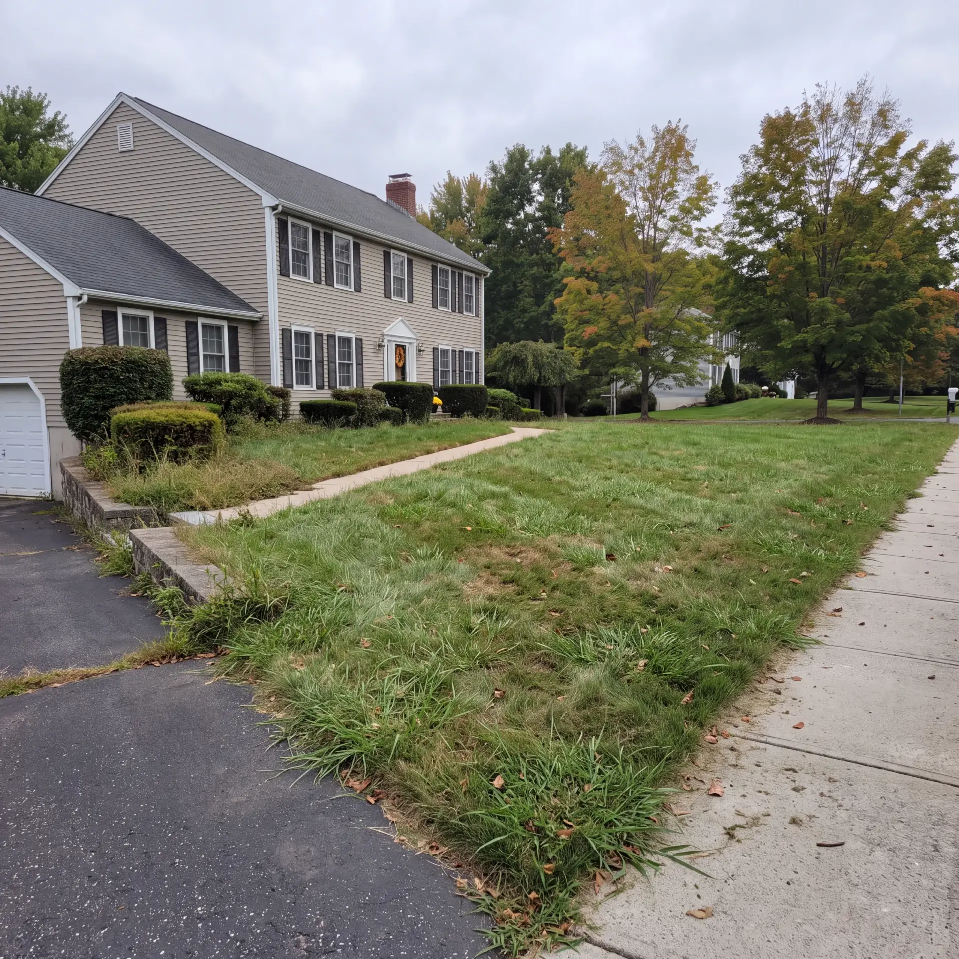 Overgrown lawn before professional lawn care by American Ground and Snow Management in New London County, Connecticut