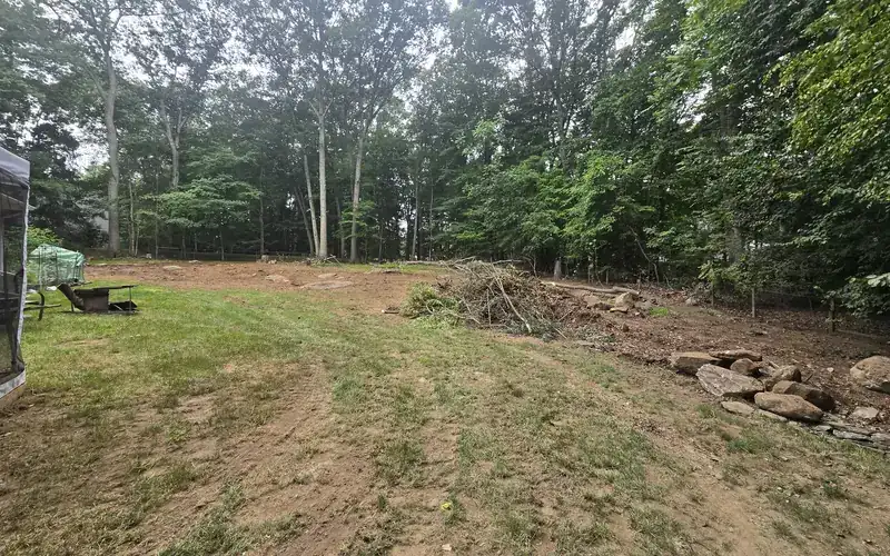 Backyard cleared of brush and small trees by AGSM