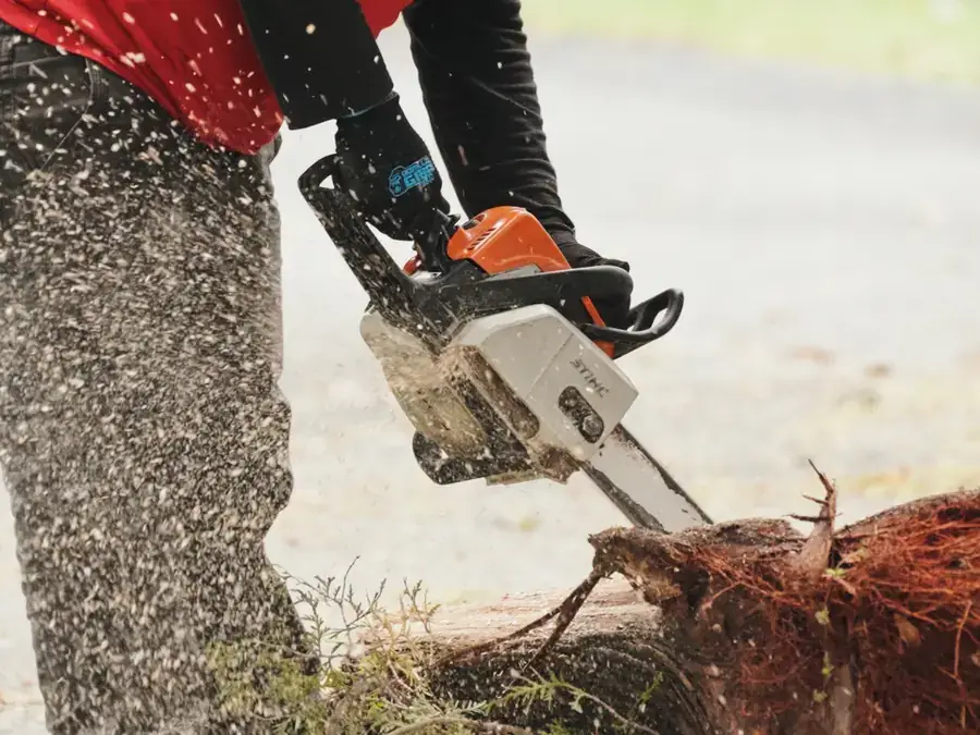 AGSM crew member cutting a stump with a chainsaw during property cleanup