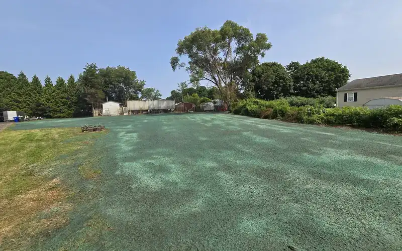Freshly hydroseeded lawn installed by AGSM in southeastern Connecticut