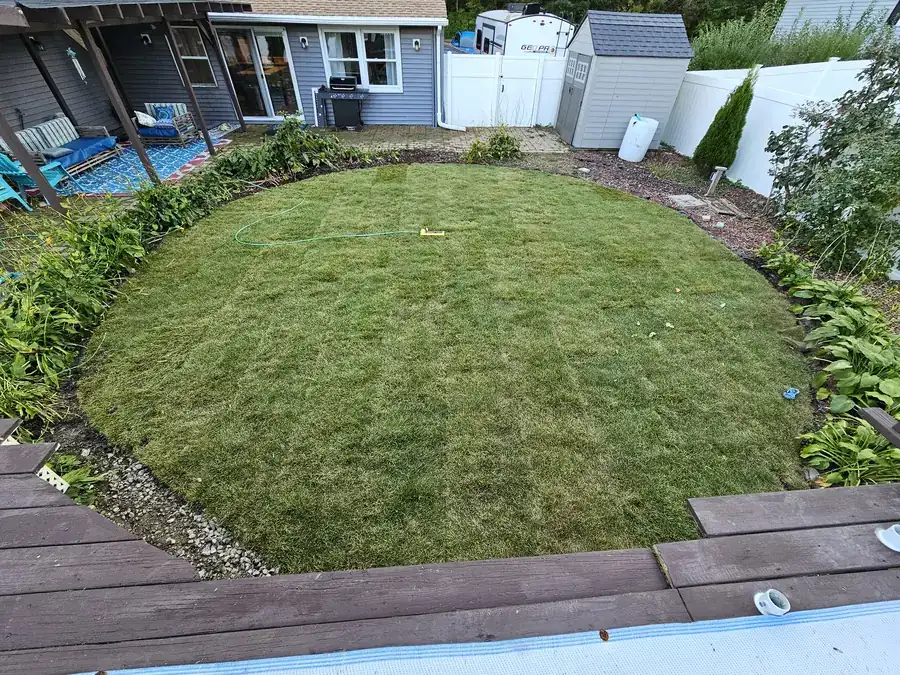 AGSM crew laying sod for a new backyard lawn in southeastern Connecticut