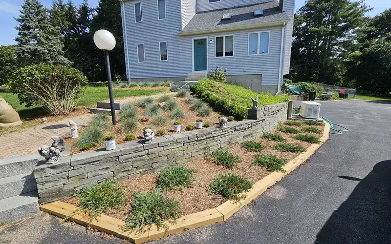 Stone wall with new bed planting by AGSM in southeastern CT