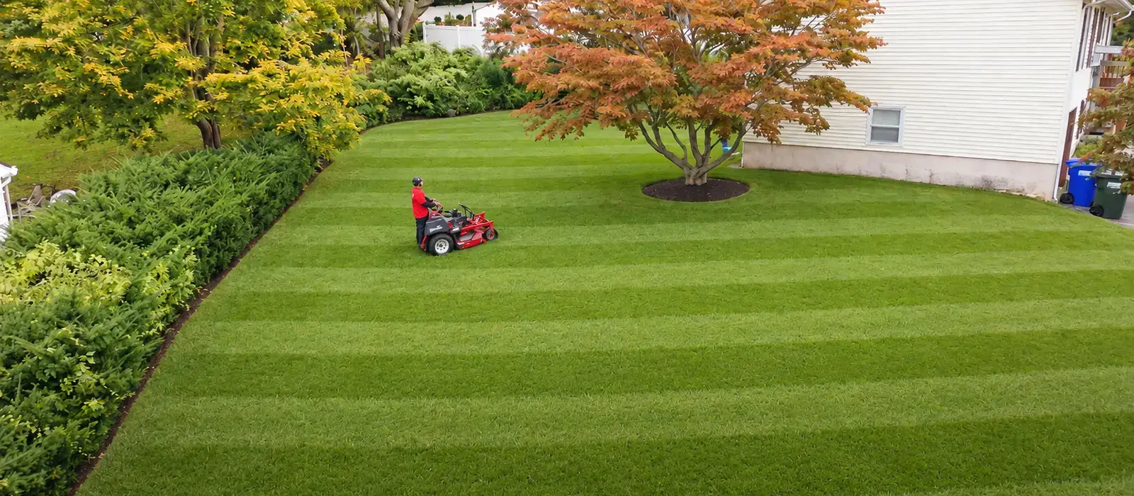 American Ground and Snow Management mowing a freshly striped residential lawn in southeastern Connecticut
