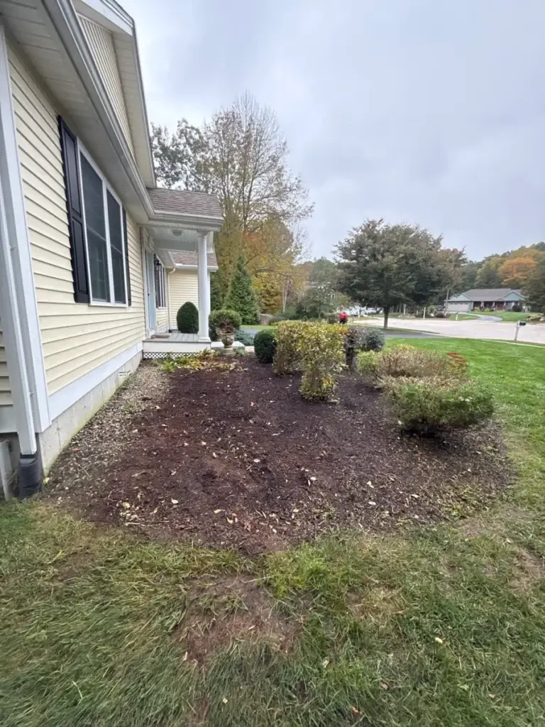 Landscape update in Groton, CT, after: foundation bed opened up, shrubs removed and thinned