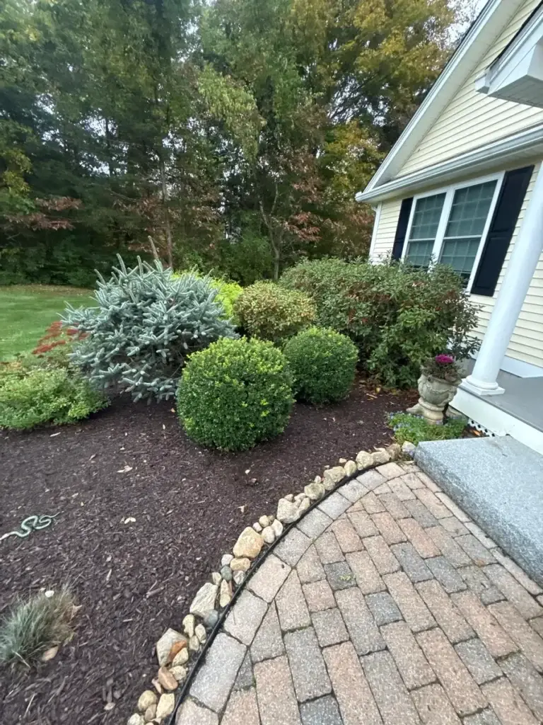 Landscape update in Groton, CT, before: front foundation bed crowded with shrubs beside the walk