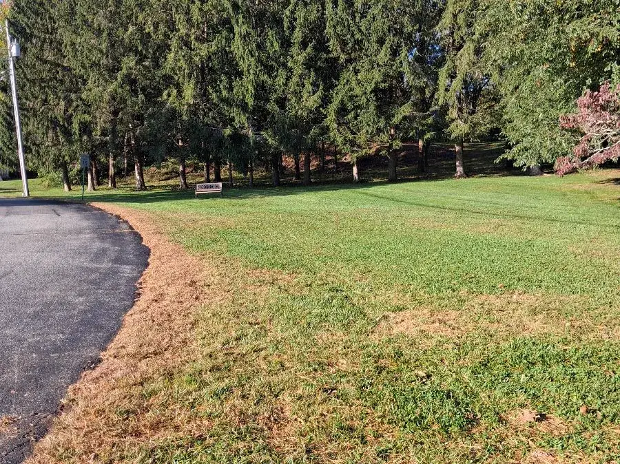 Crisp lawn edge along a driveway after weekly mowing in East Lyme CT