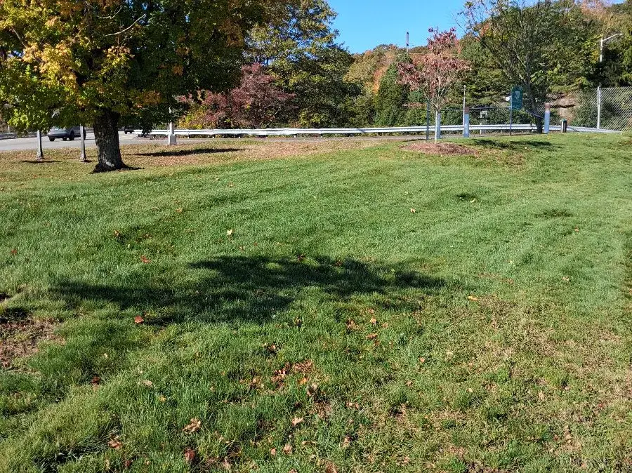 Wide mowed lawn with mature shade trees after weekly lawn care in East Lyme CT