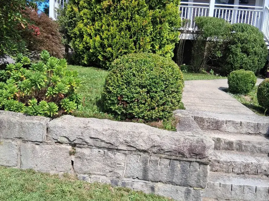 Trimmed shrubs, granite wall and lawn edge after AGSM lawn care in New London CT